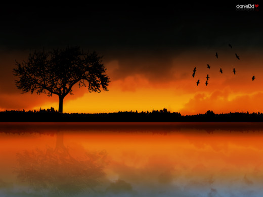 2931 (a): :1024x768